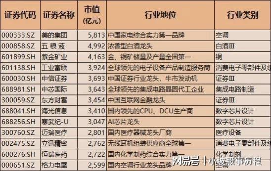亚星A股龙头100强！含科技与医药中国核心优质资产国家队重仓(图2)