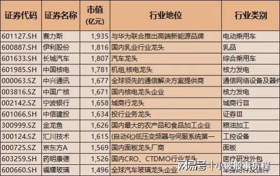 亚星A股龙头100强！含科技与医药中国核心优质资产国家队重仓(图4)