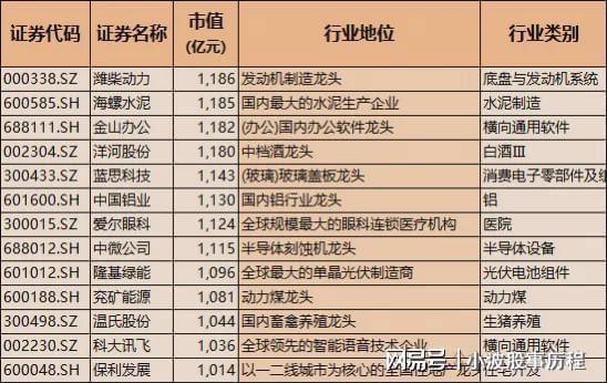 亚星A股龙头100强！含科技与医药中国核心优质资产国家队重仓(图6)